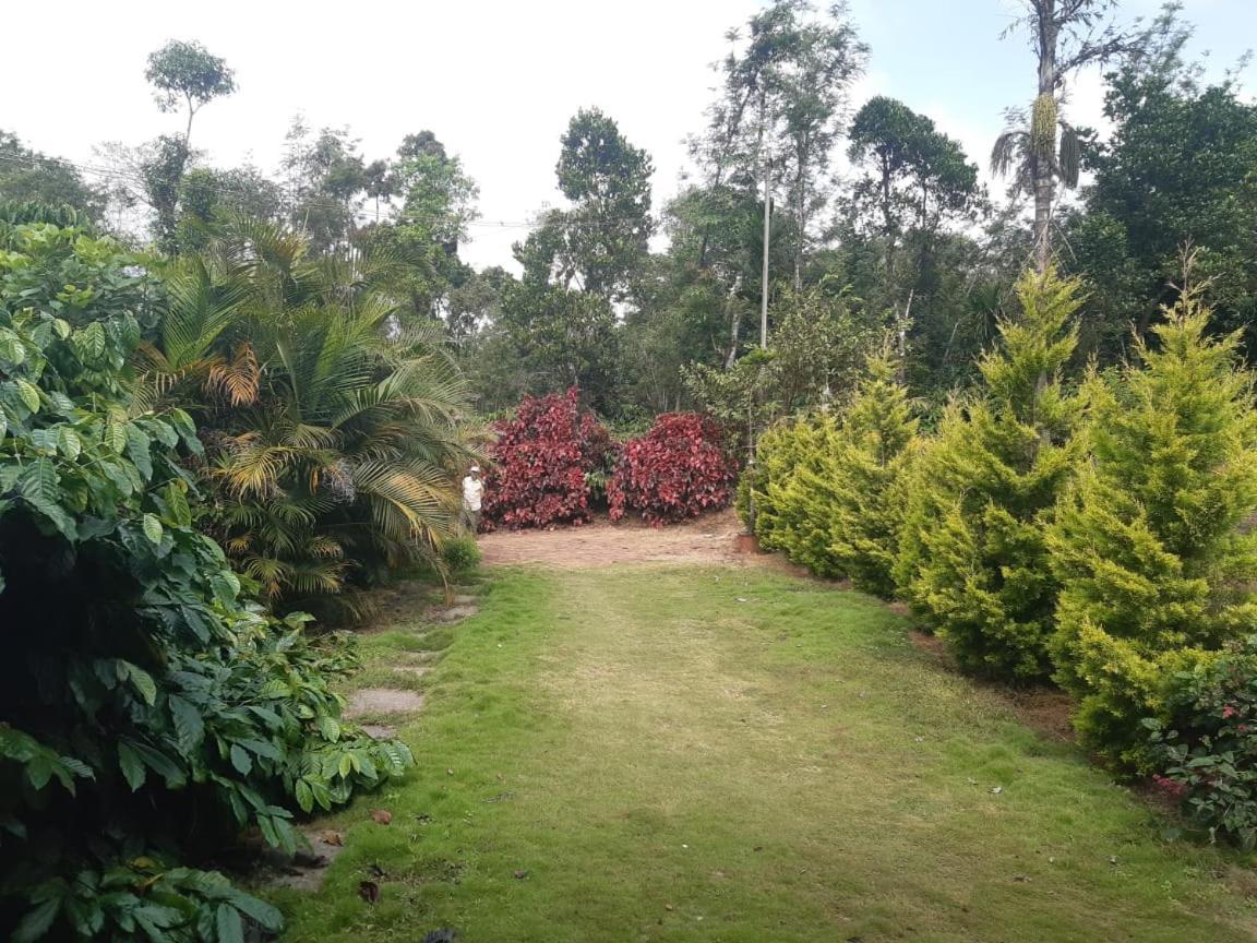 Athena Homestay Somvarpet Exterior photo