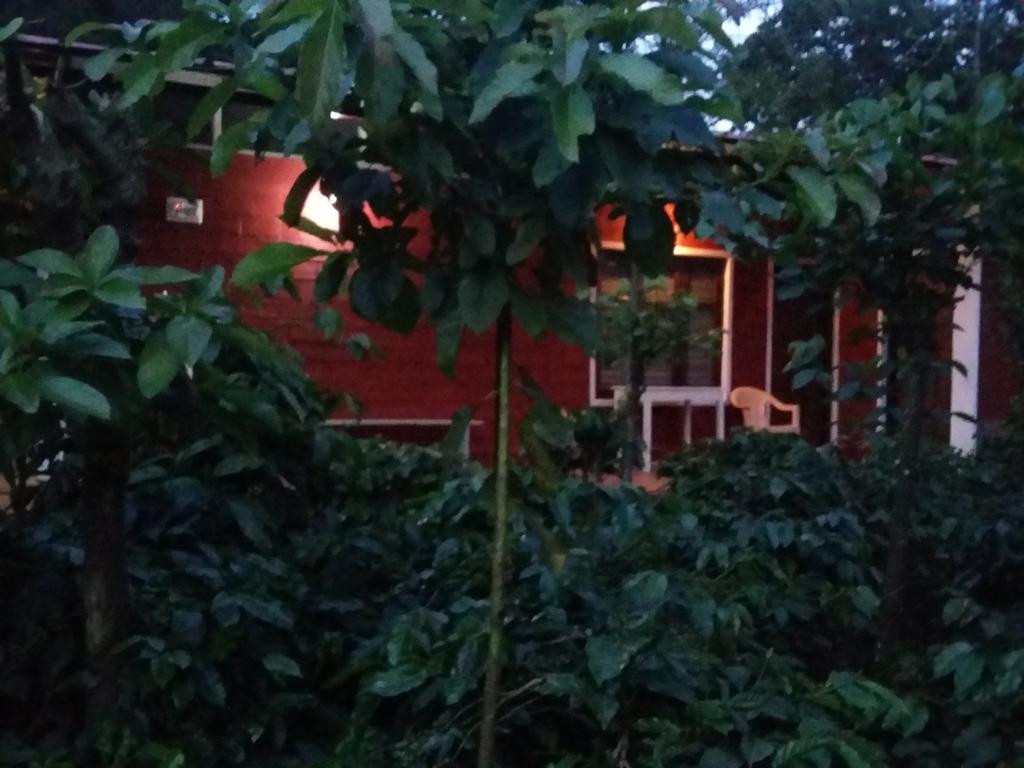 Athena Homestay Somvarpet Exterior photo